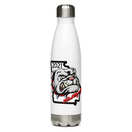 Stainless Steel Water Bottle